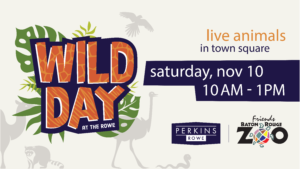 Wild Day at the Rowe @ Perkins Rowe | Baton Rouge | Louisiana | United States